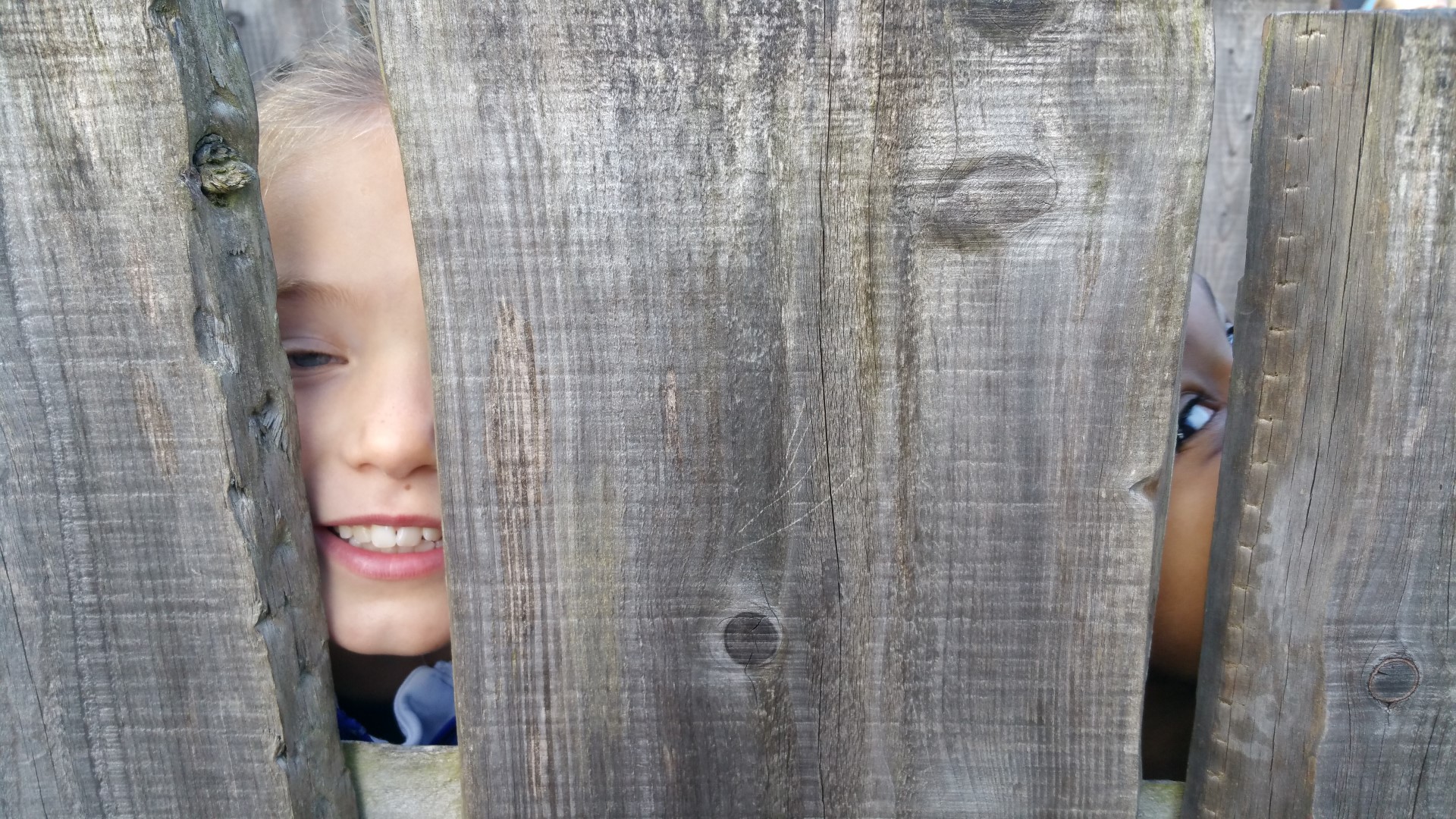 20161027 121514 (Large)